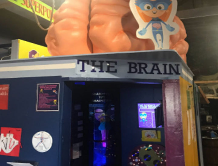 Brain Exhibit